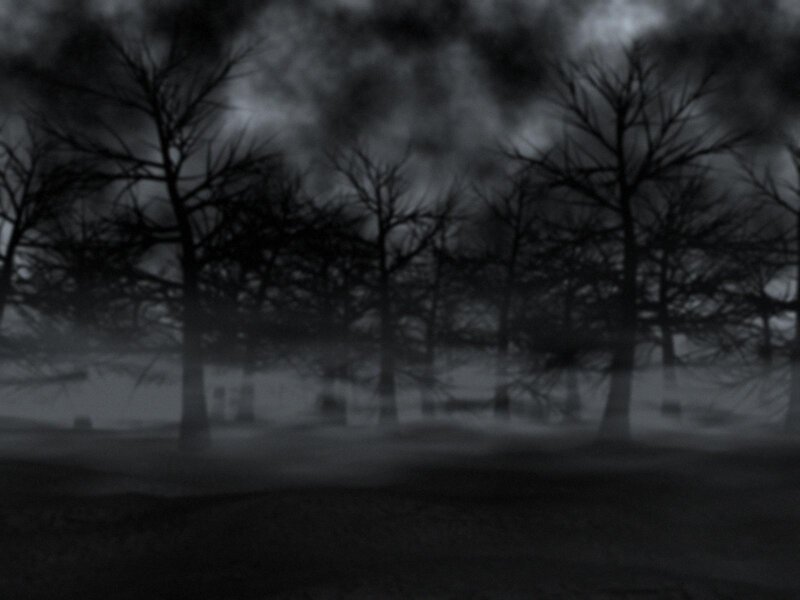 Bare Trees in Fog — Black, Eerie