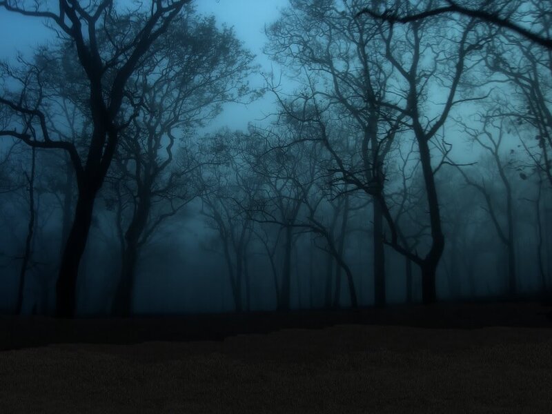 Bare Trees in Fog — Blue, Dark, Mysterious