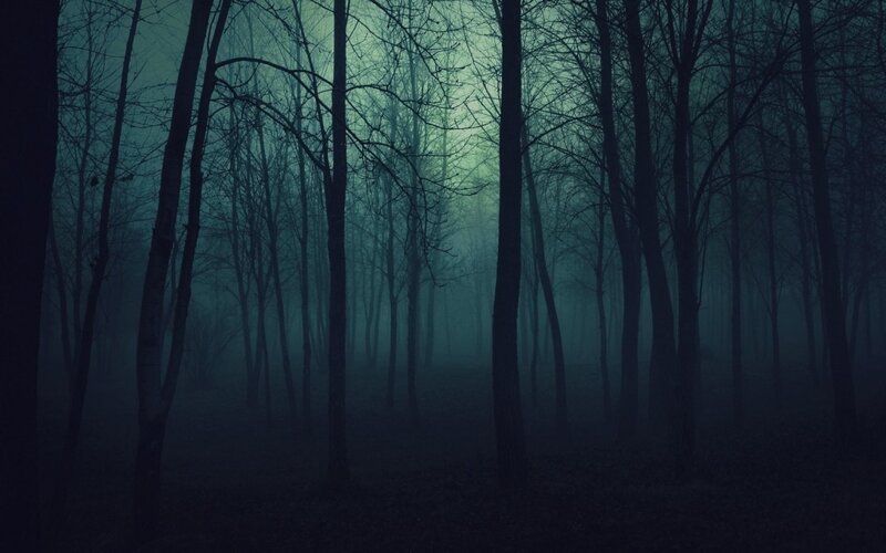 Bare Trees in Fog — Blue, Dark, Night, Photograph, Forest, Green, Black