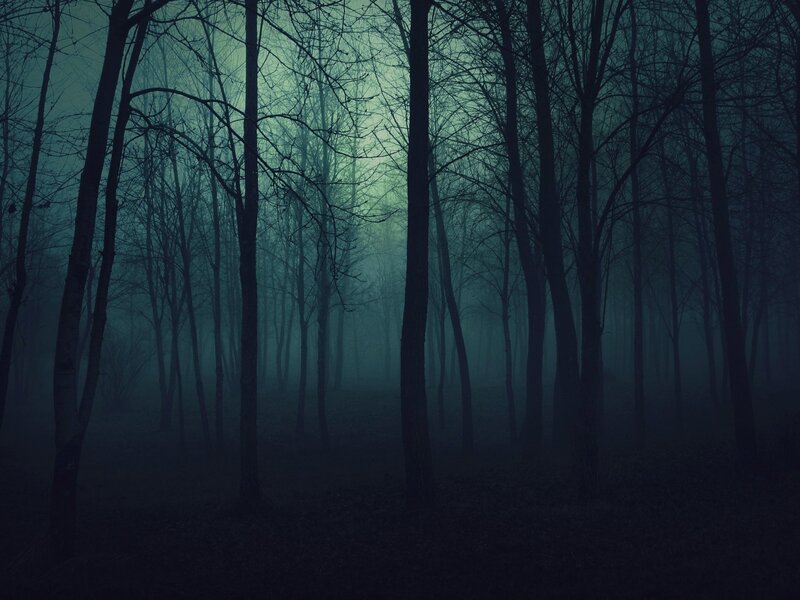 Bare Trees in Fog — Blue, Dark
