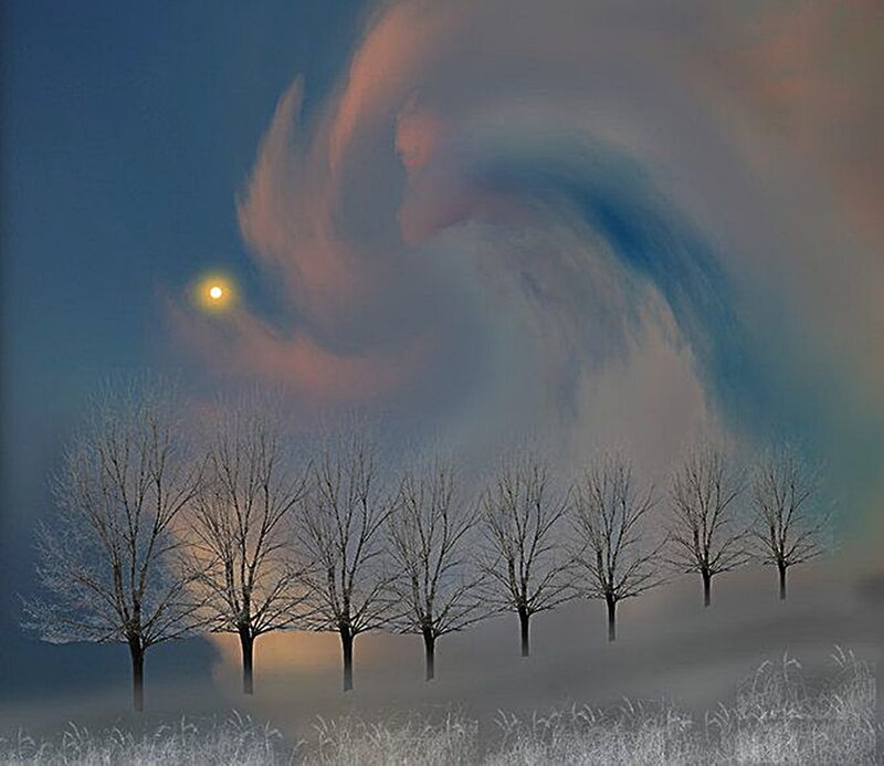 Bare Trees in Fog — Blue, Dramatic