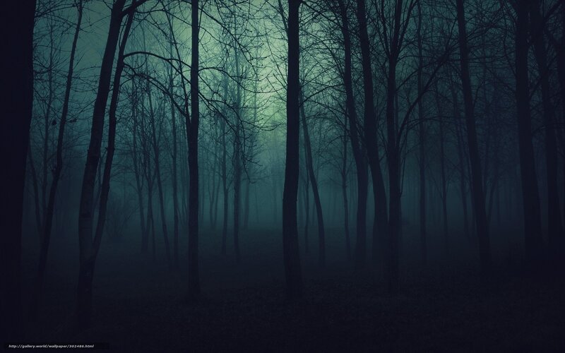Bare Trees in Fog — Dark Blue