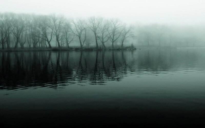 Bare Trees in Fog — Gray, Misty, Morning, Photograph, Lake