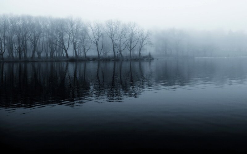 Bare Trees in Fog — Gray, Somber, Winter, Photograph, Lake, Black
