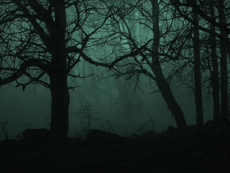 Bare Trees in Fog — Green, Dark, Eerie