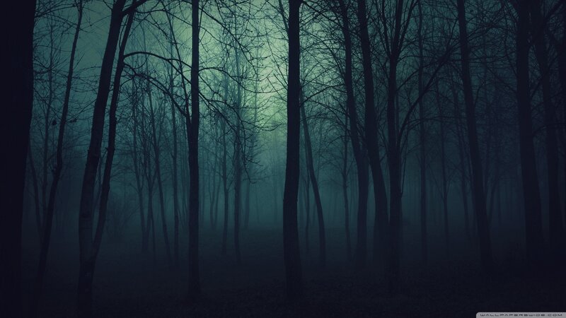 Bare Trees in Foggy Forest — Blue, Dark