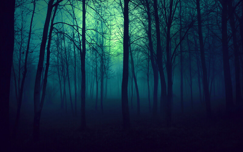 Bare Trees in Foggy Forest — Blue