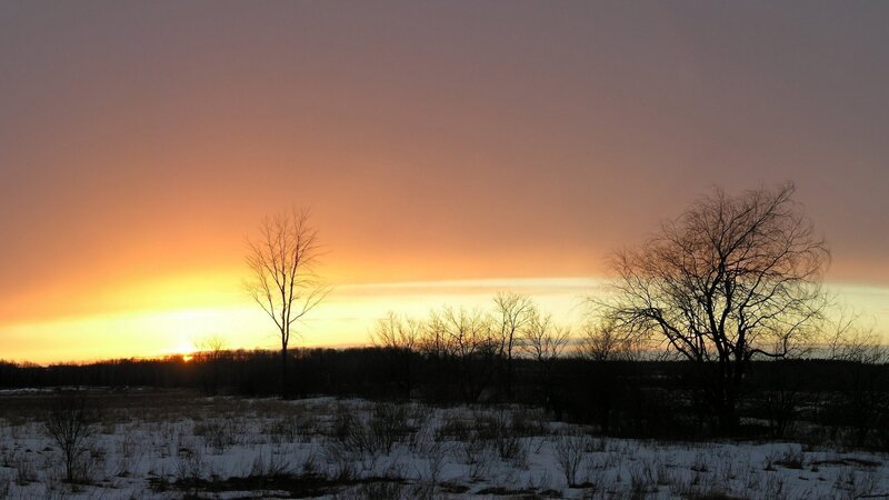 Bare Trees in Snow — Orange, Serene, Sunset, Photograph