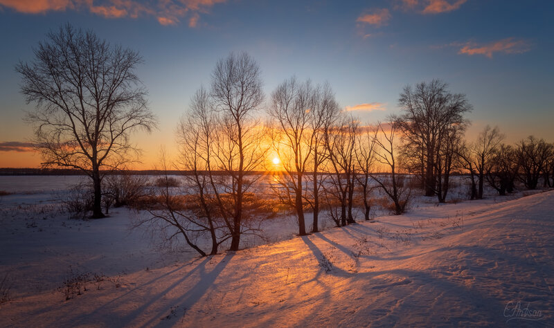 Bare Trees in Snow — Orange, Serene, Sunset