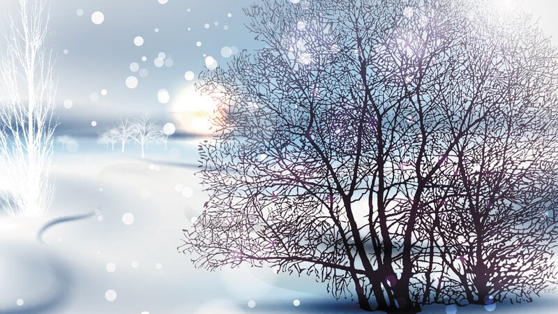 Bare Trees in Snow — White, Serene, Winter, Digital Art