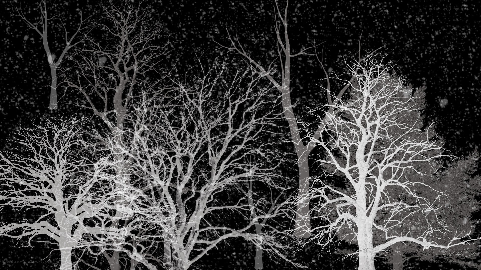 Bare Trees in Snowfall
