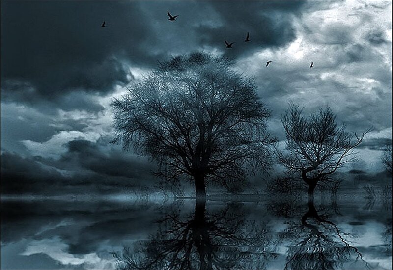 Bare Trees in Water — Blue, Dramatic