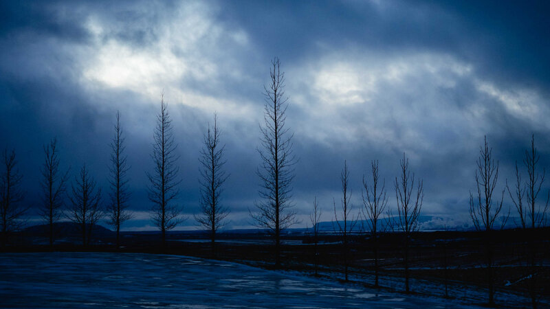 Bare Trees in Winter — Blue, Dramatic