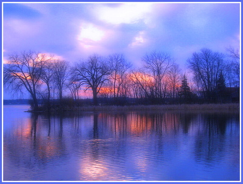 Bare Trees on Lake Shore — Blue