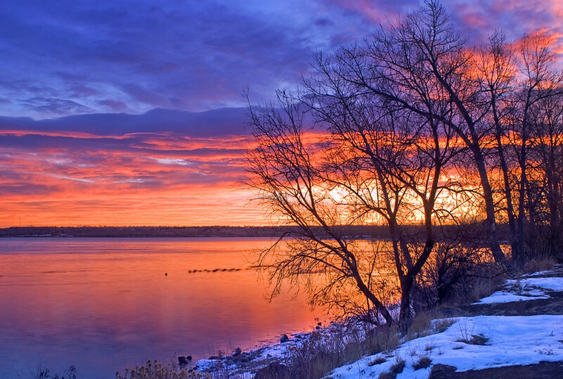 Bare Trees on Lake Shore