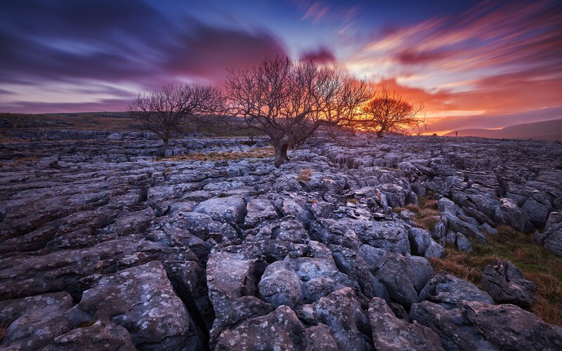 Bare Trees on Limestone — Purple, Dramatic, Sunset, Photograph, Sky, Rocks