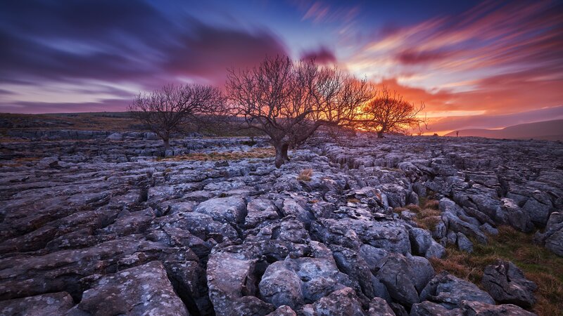 Bare Trees on Limestone — Purple, Dramatic, Sunset