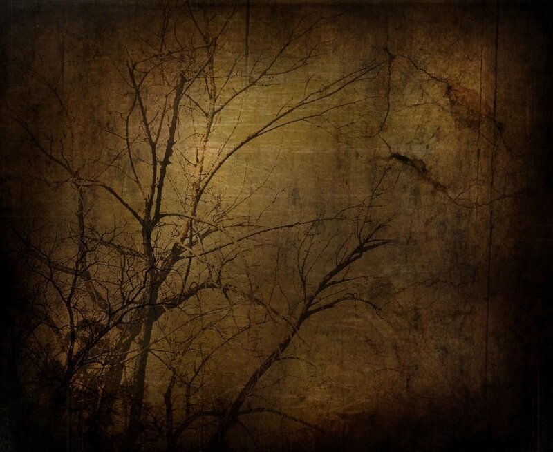 bare trees on textured background
