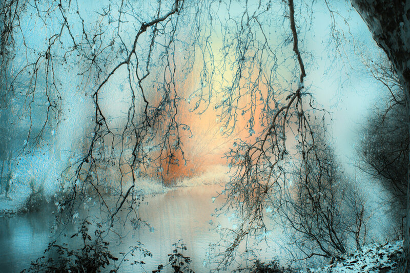 Bare Trees over River