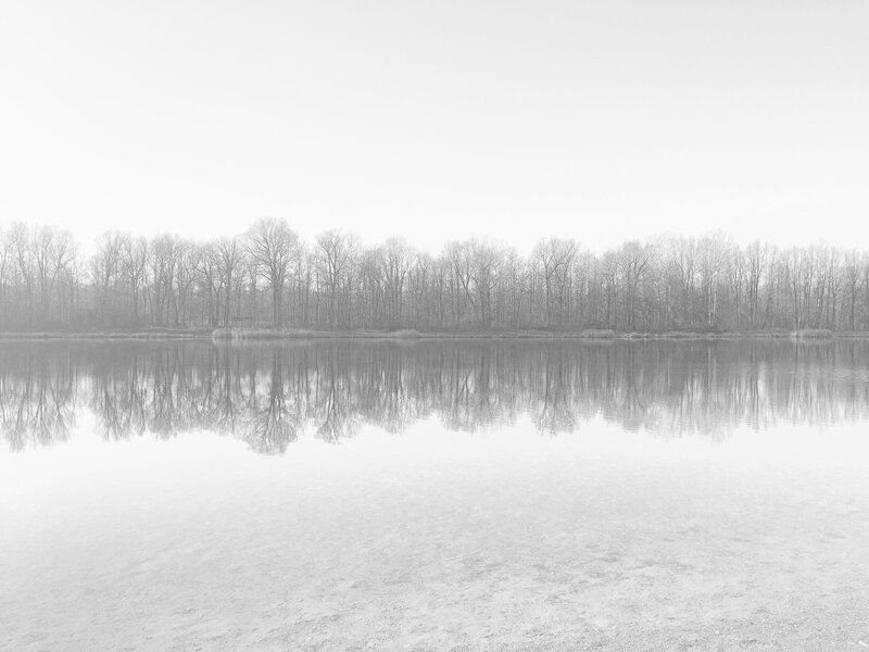 Bare Trees Reflected in Lake