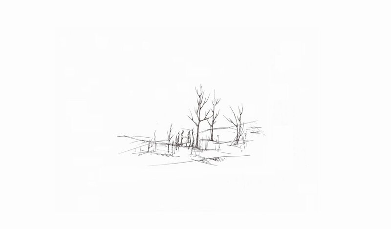 bare trees sketch