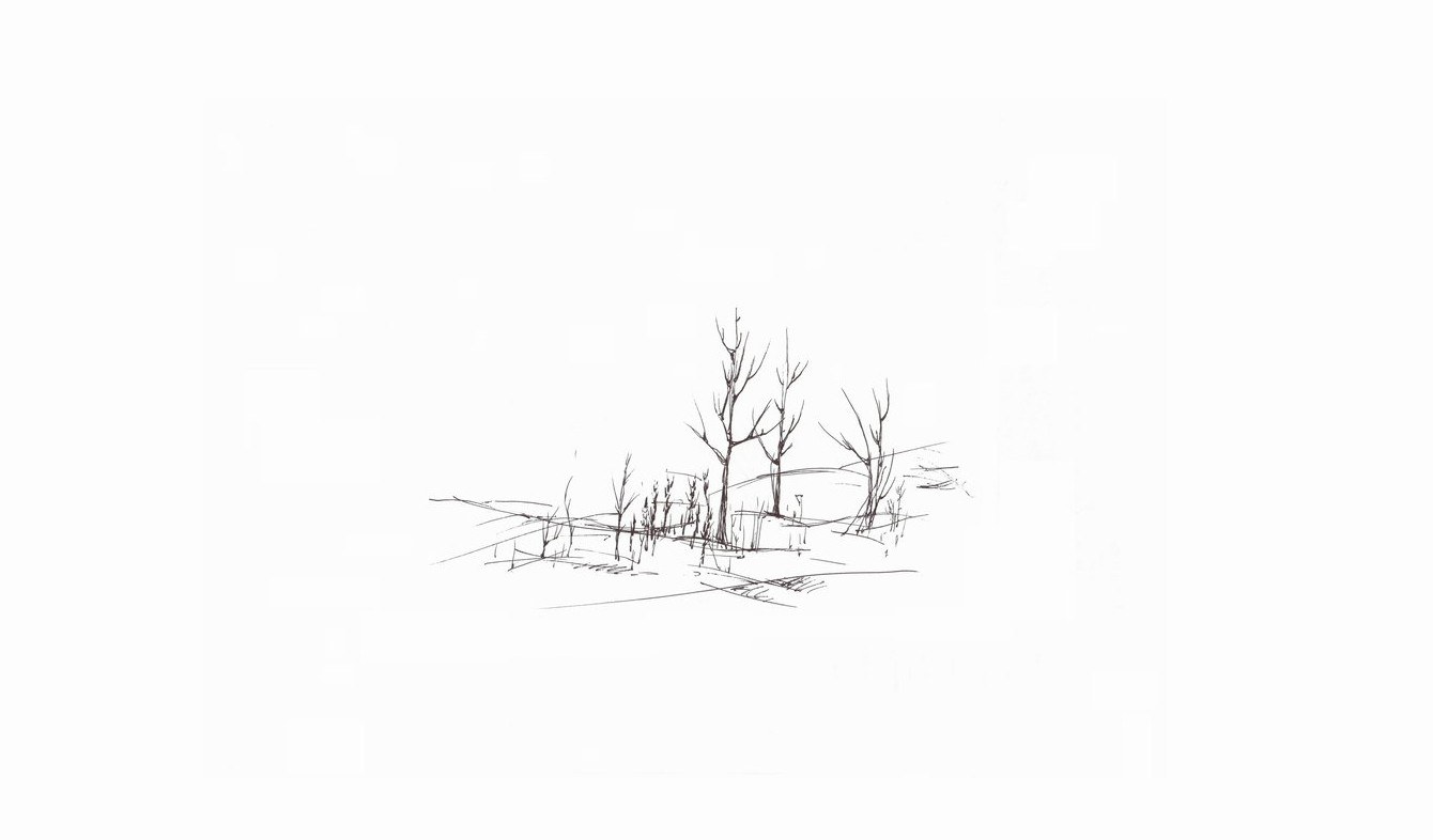 bare trees sketch
