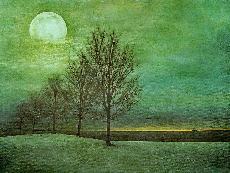 Bare Trees under Moon — Green