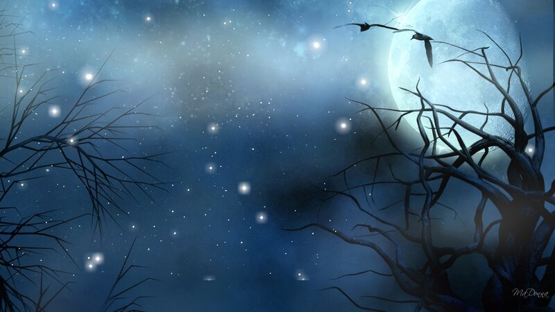 Bare Trees under Moon