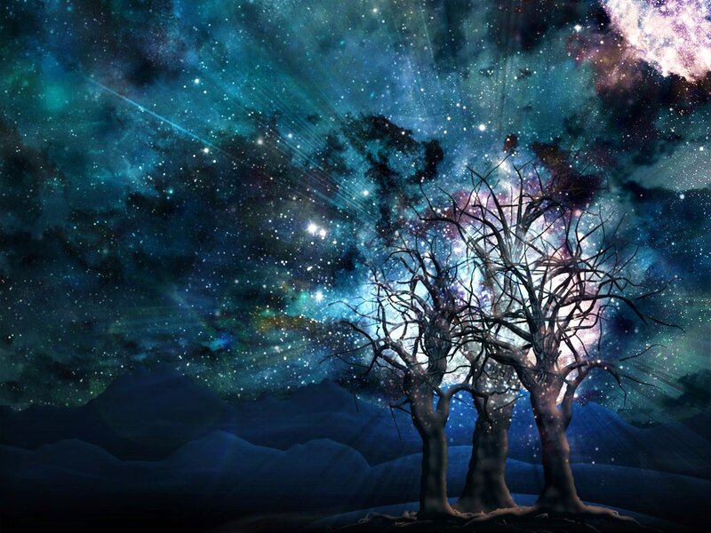 Bare Trees under Starry Sky — Blue