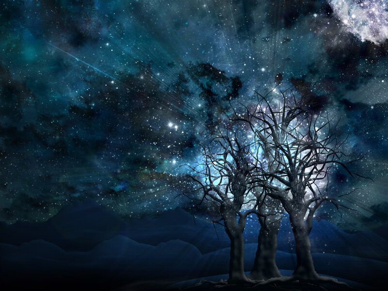 Bare Trees under Stars