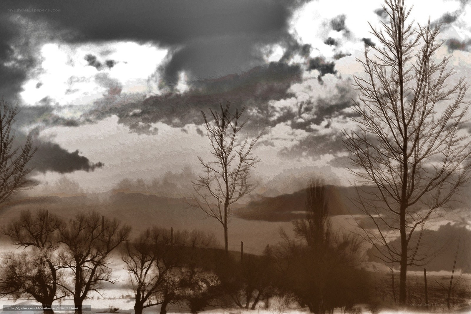 Bare Trees Under Stormy Sky
