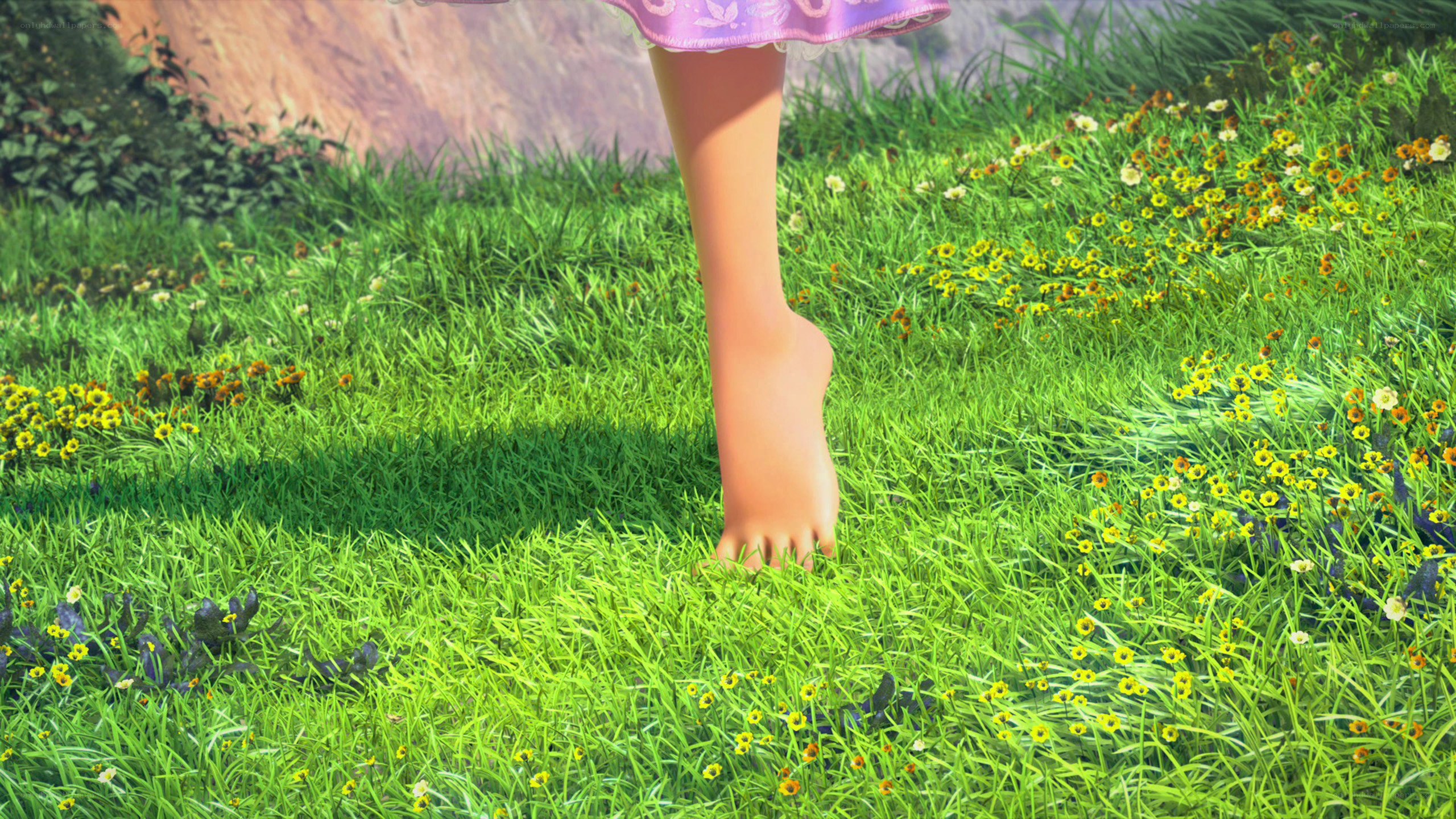 barefoot in a flower field