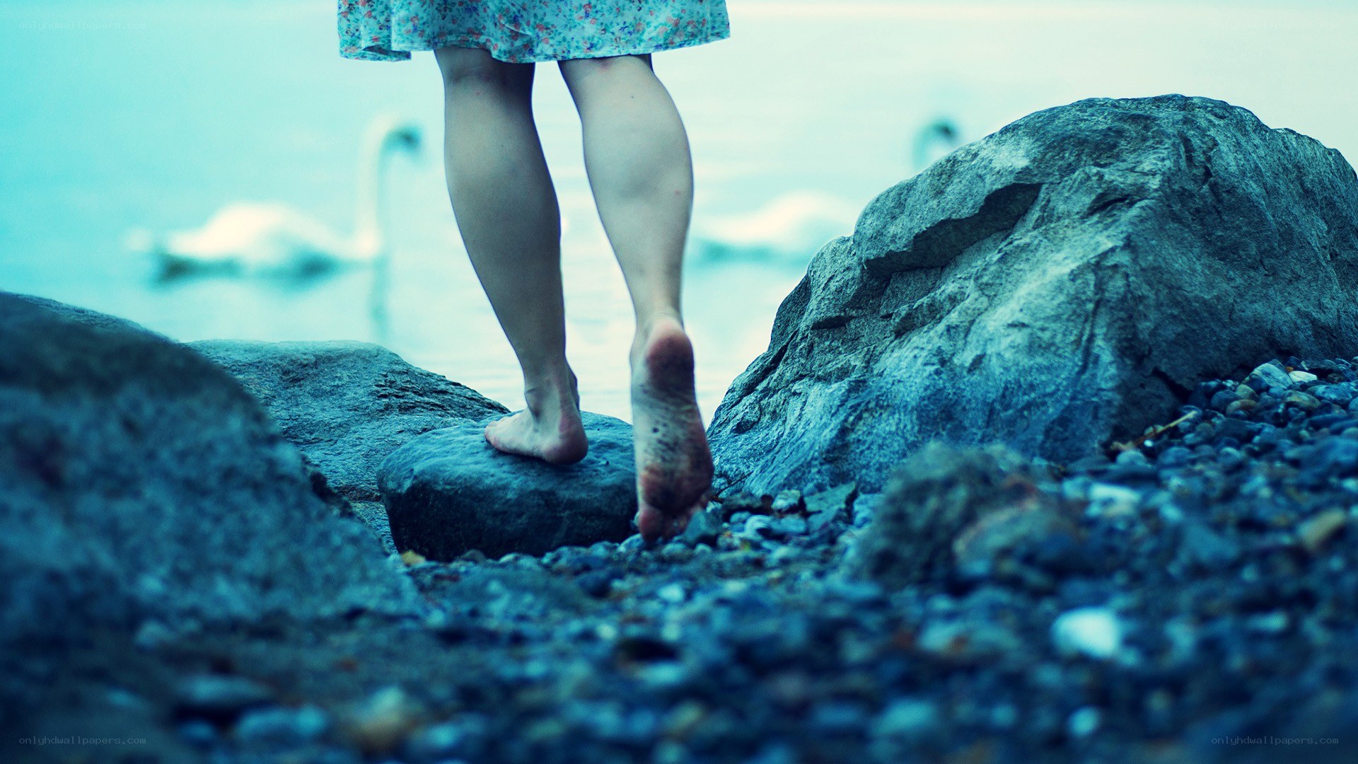 Barefoot on the shore
