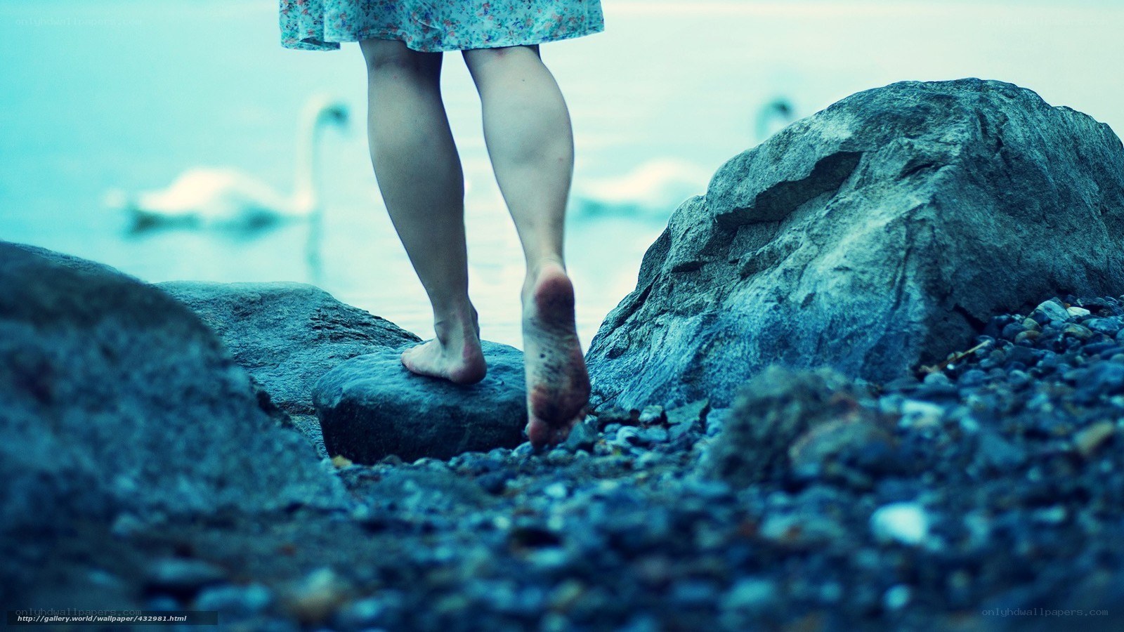 Barefoot on the shore