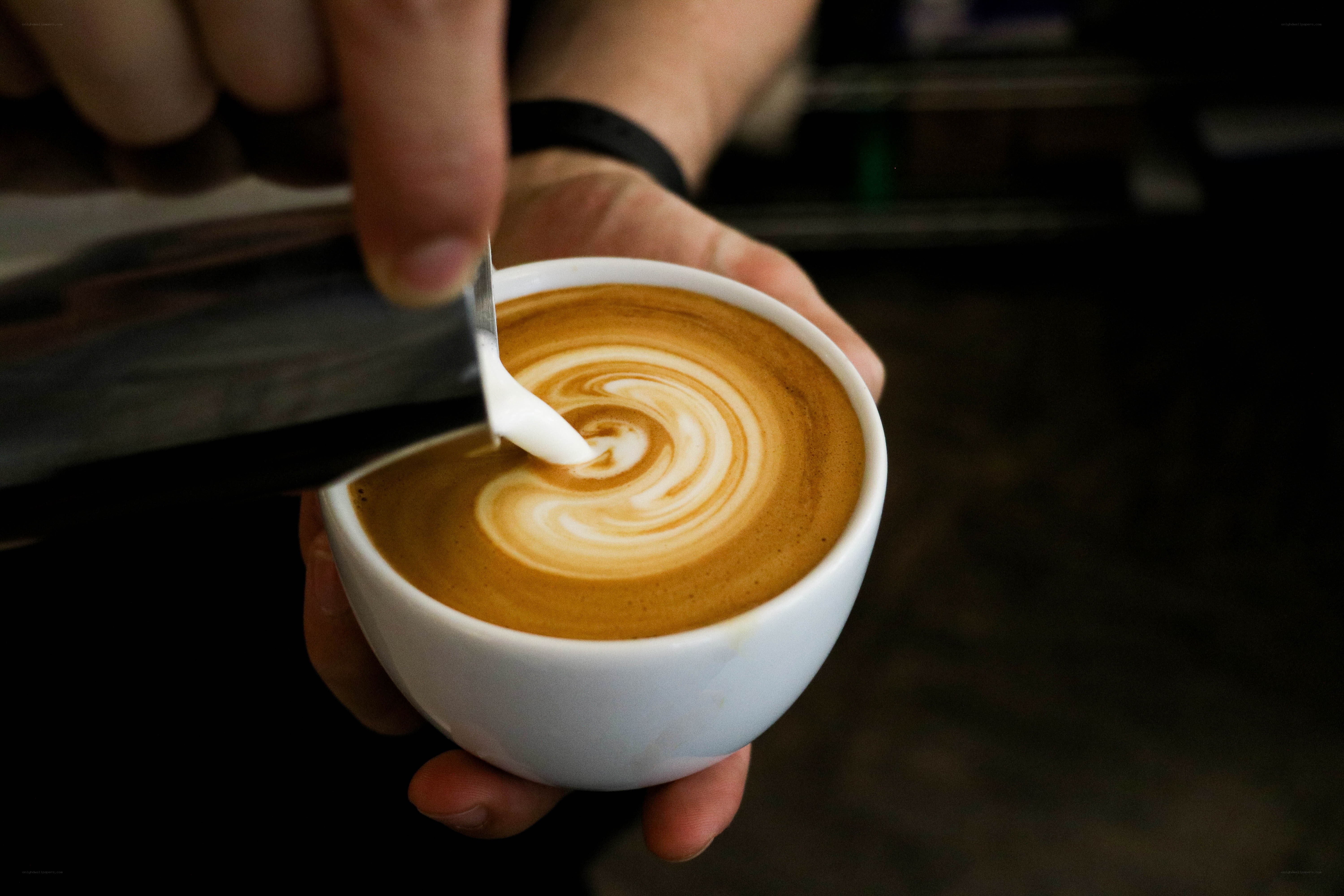 barista making latte art