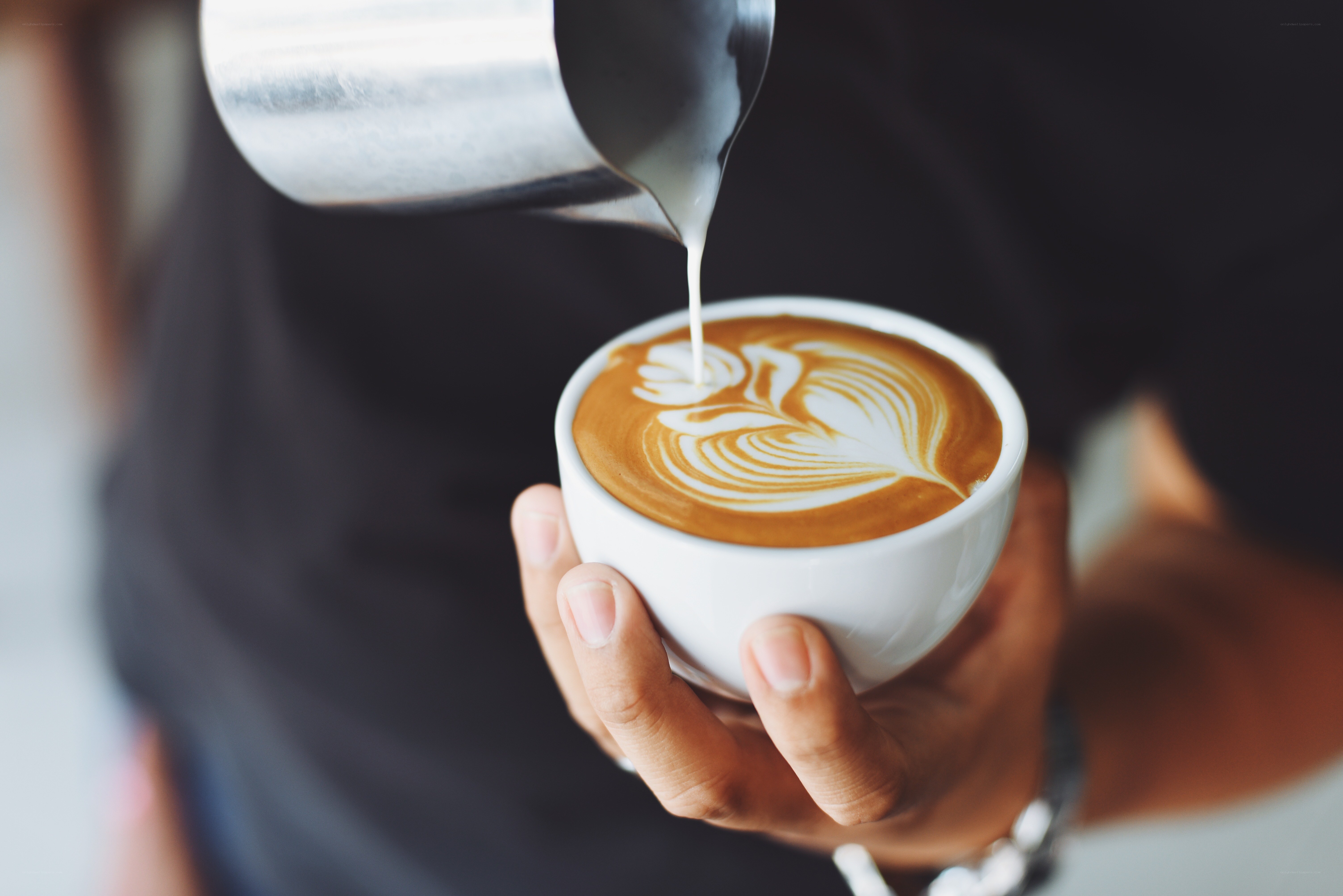 barista pouring latte art
