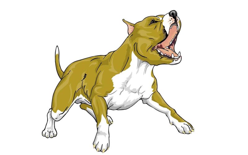 barking dog illustration