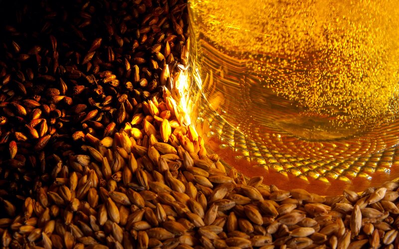 Barley and Beer