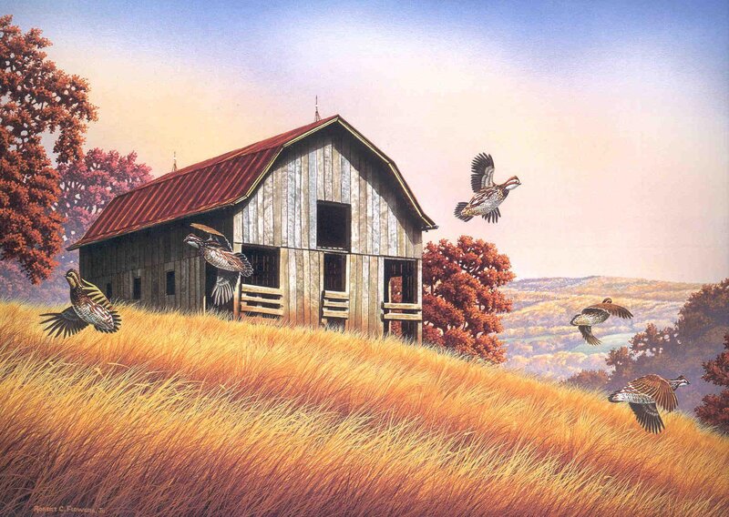Barn and flying birds