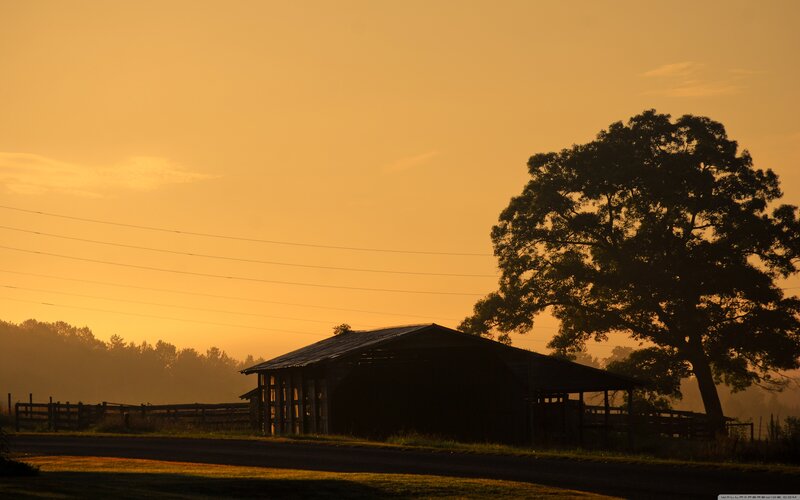 Barn and Tree at Sunrise
