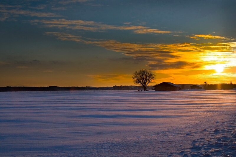 Barn and Tree in Snow
