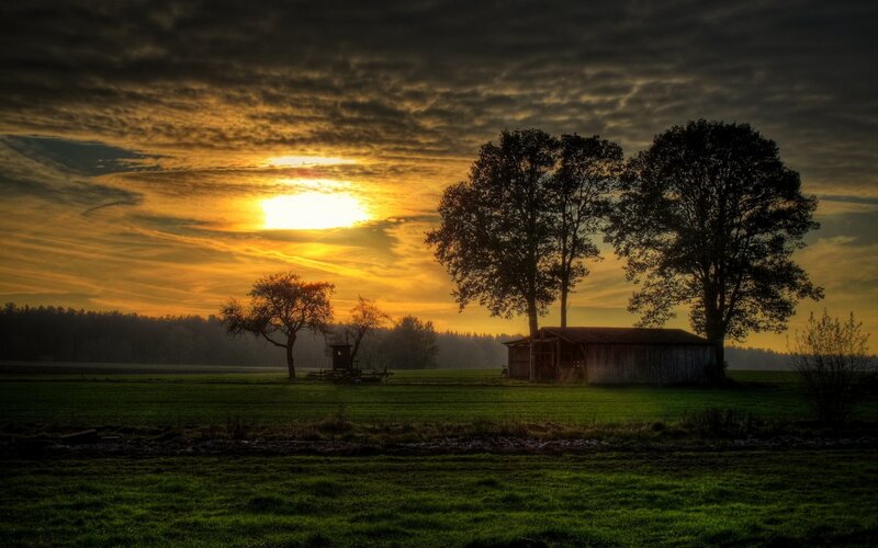 Barn and Trees at Sunset — Green