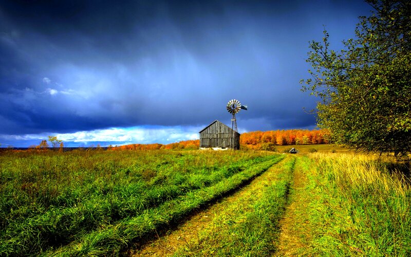 Barn and Windmill