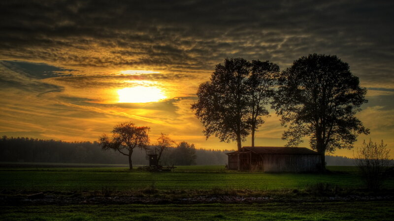 Barn at Sunset — Green
