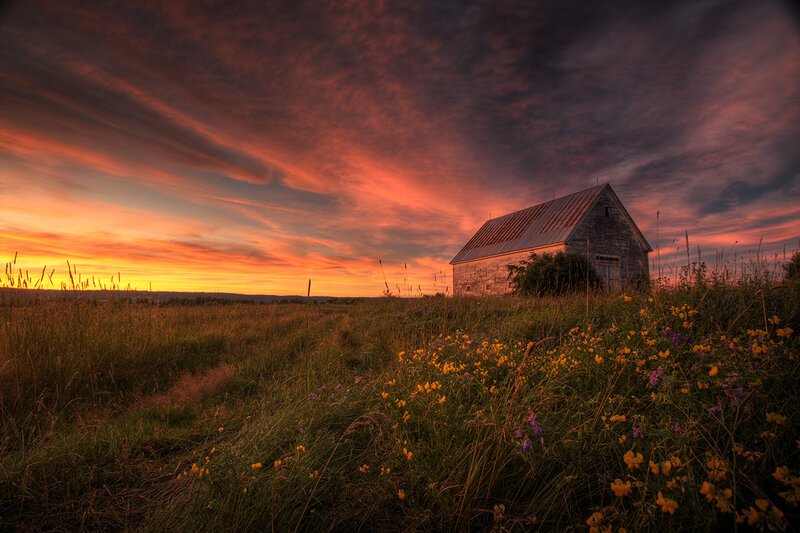 Barn at sunset in a field