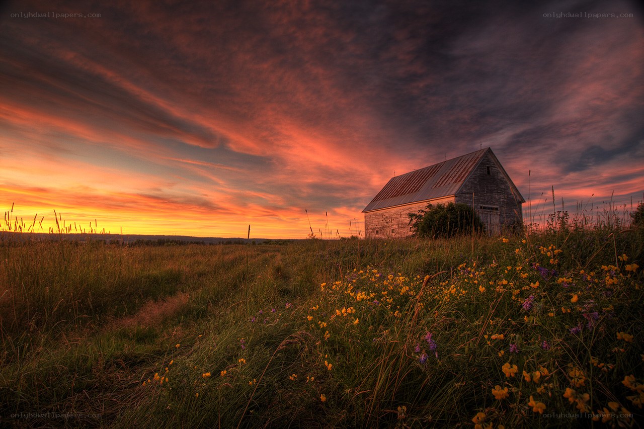 Barn at sunset in a field