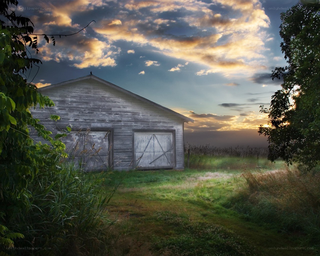 Barn at sunset in a field