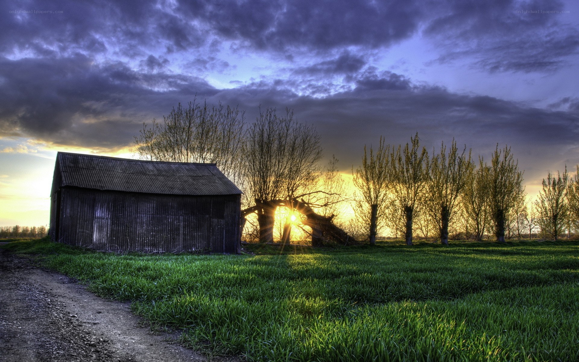 Barn at sunset in a field