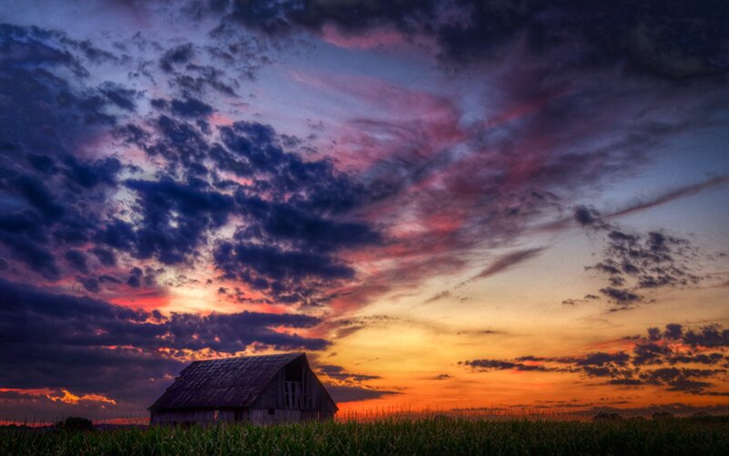 Barn at sunset in cornfield