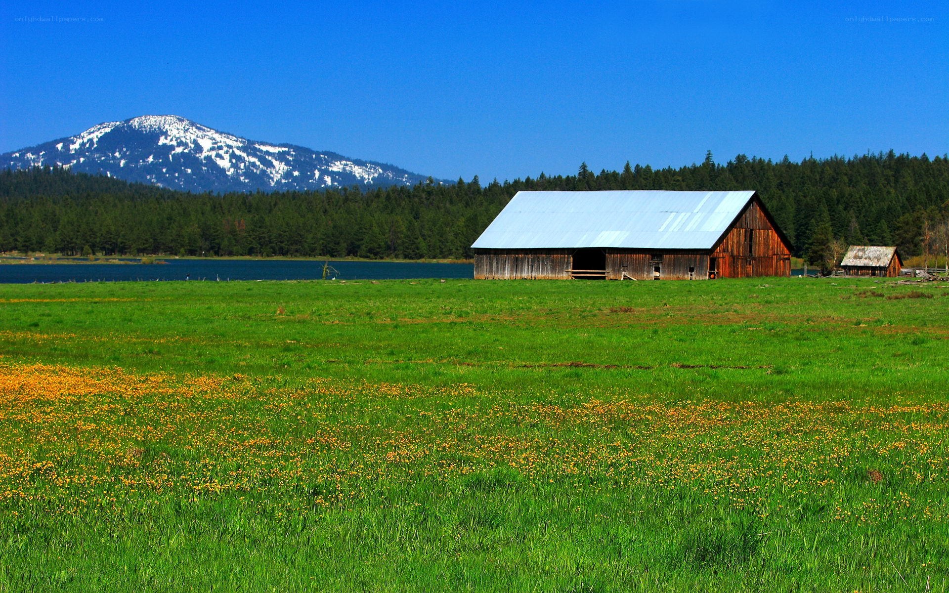 Barn by lake with mountain view